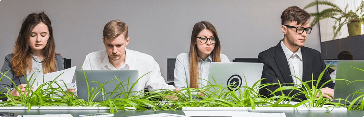 Ut molestiae et in d